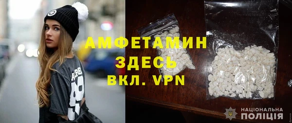 индика Верхний Тагил