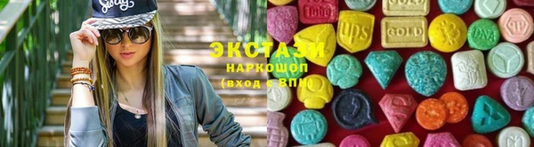 индика Верхний Тагил