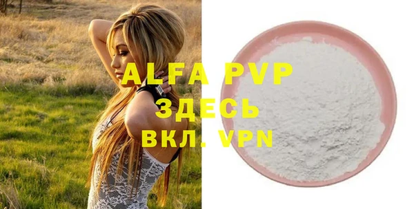 эйфоретик Бородино