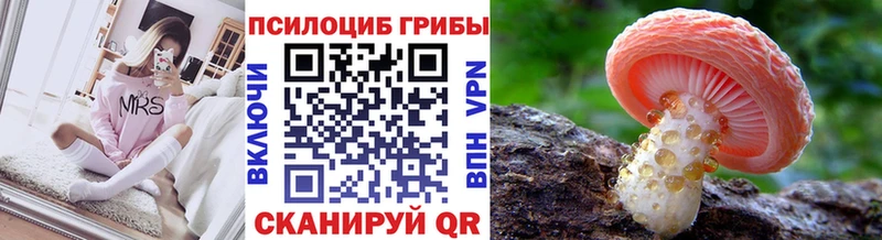 Галлюциногенные грибы MAGIC MUSHROOMS  Гороховец 
